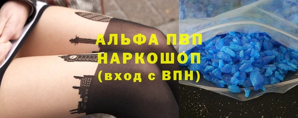 индика Осташков