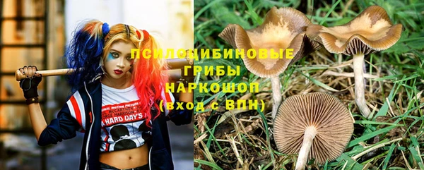 соль курить ск Осинники