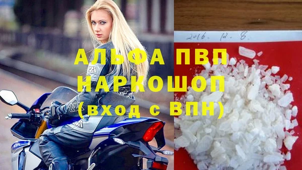 индика Осташков