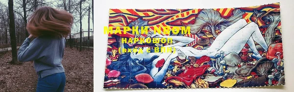 индика Осташков