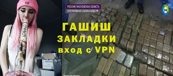 индика Осташков