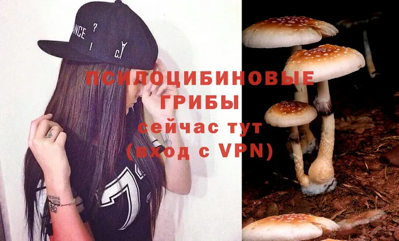 Галлюциногенные грибы Magic Shrooms  сайты даркнета наркотические препараты  Починок 