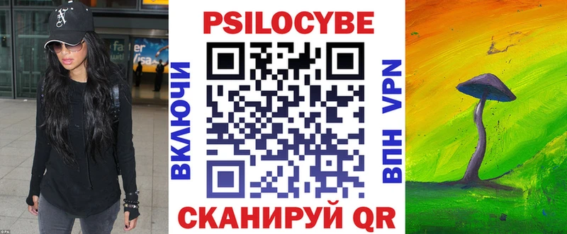 купить закладку  ссылка на мегу маркетплейс  Псилоцибиновые грибы мухоморы  Починок 